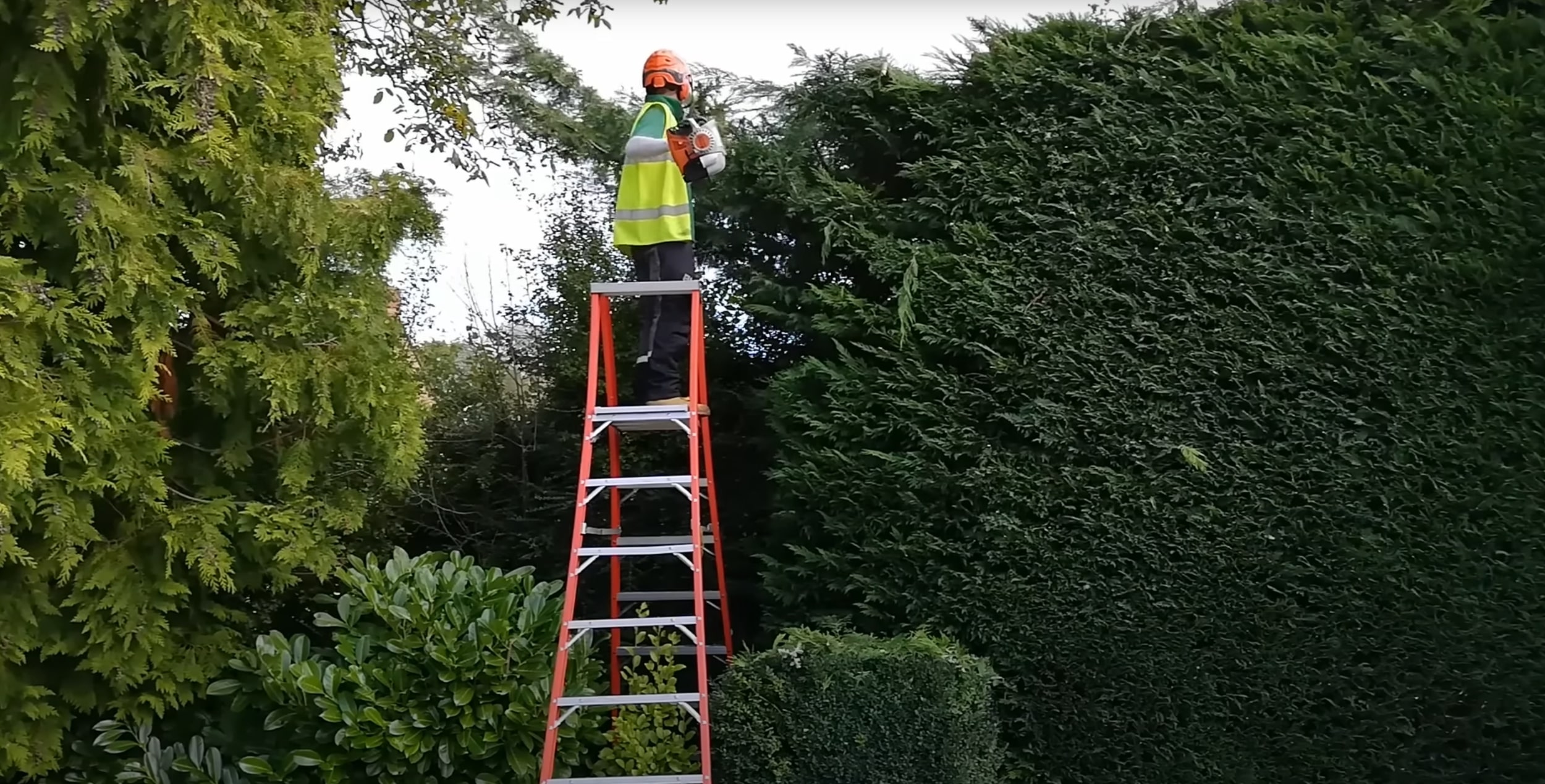 Tree Trimming & Pruning service in Hoboken, NJ